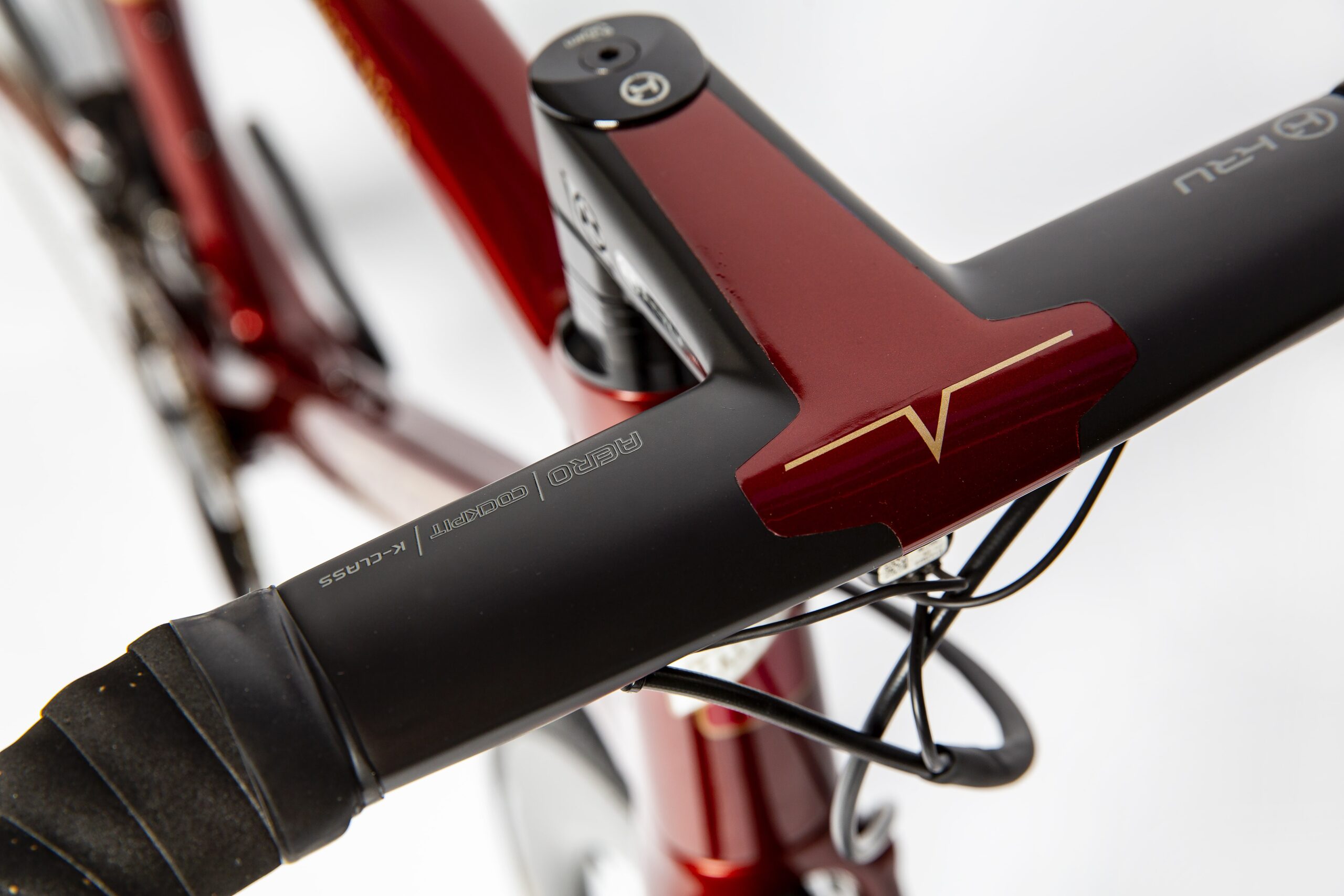 Essere Vivo – BRONZE BEAR