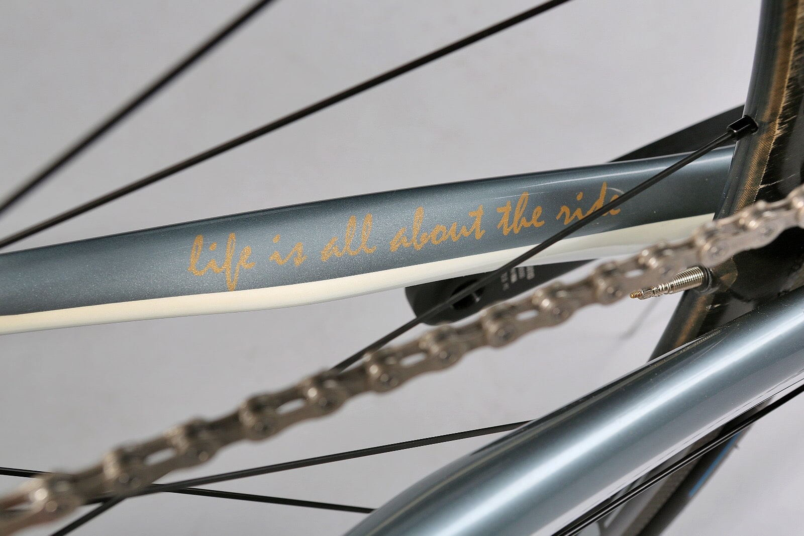 Super Speciale – GREY SHARK