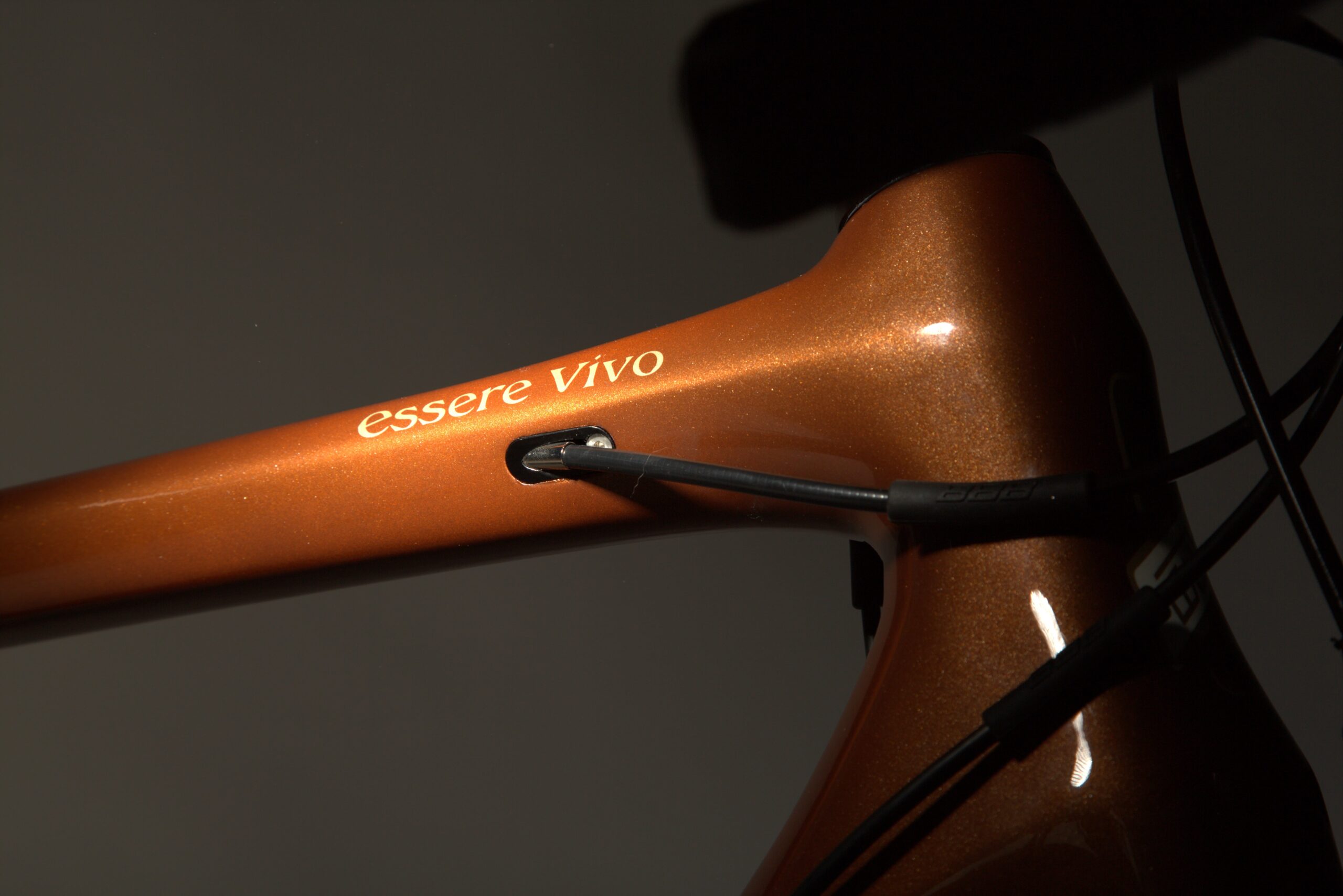 Essere Vivo – BROWN BUFFALO